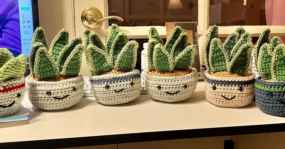 Succulent Buddies (QTY: 1) - Happy Face Pals