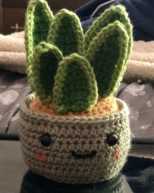 Snake Plant Buddies (QTY: 1) - Happy Face Pals