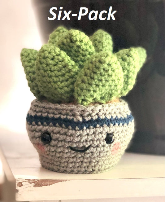 Succulent Buddies (6-pack) - Happy Face Pals