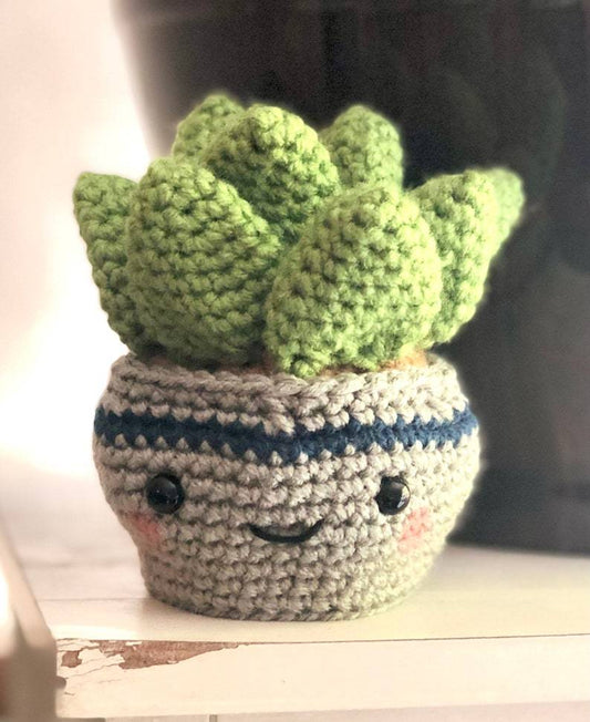 Succulent Buddies (QTY: 1) - Happy Face Pals